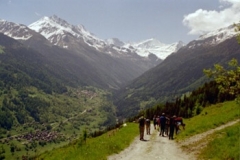Heilkräuterwanderung Grimentz 09.07.2004