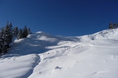 P1010031.JPG