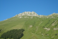 DSC00698