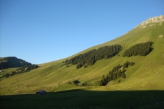 DSC00706 (1024x768)