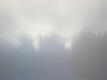 Schneeschuhtour Stoss - Aettenberg, 23.01.2011