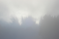 jan_2011 001