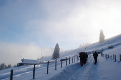 jan_2011 003