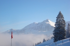 jan_2011 004