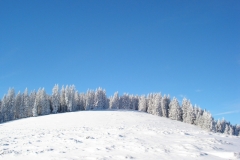 jan_2011 005