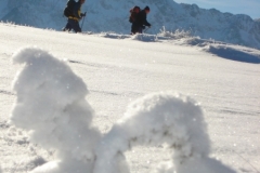 jan_2011 008