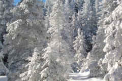 jan_2011 016