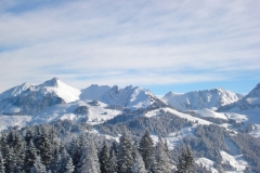 jan_2011 018