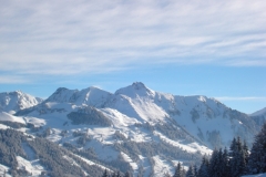 jan_2011 019