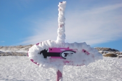 jan_2011 021