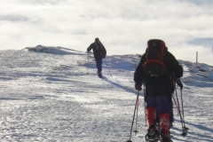 jan_2011 023