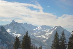 jan_2011 027