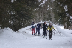 Mieschflue 2013_02_23 001