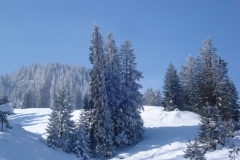 Mieschflue 2013_02_23 006