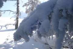 Mieschflue 2013_02_23 021