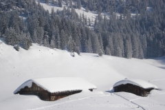 Mieschflue 2013_02_23 031
