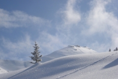 Mieschflue 2013_02_23 037