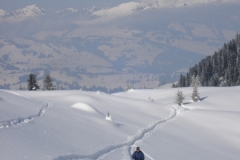 Mieschflue 2013_02_23 040
