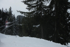 Saanen_27.02.10 050