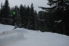 Saanen_27.02.10 052