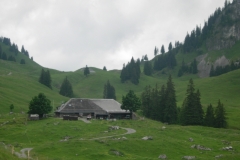 DSCN1867